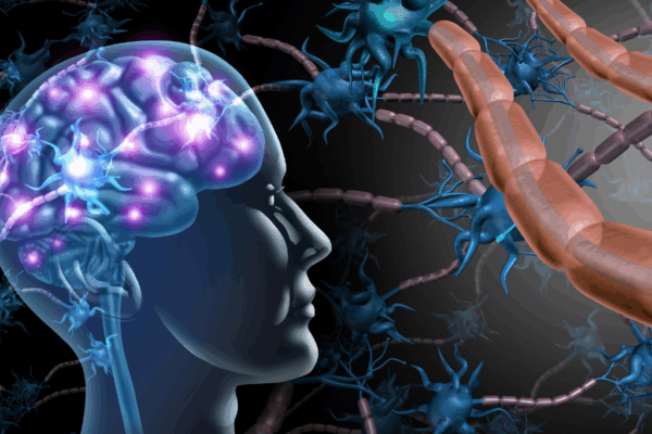 Information Processing in the Brain: Easy Explanation